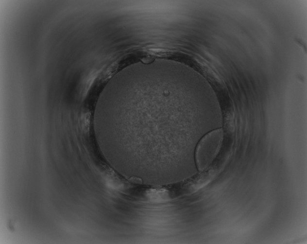 X0000093170271200709261534