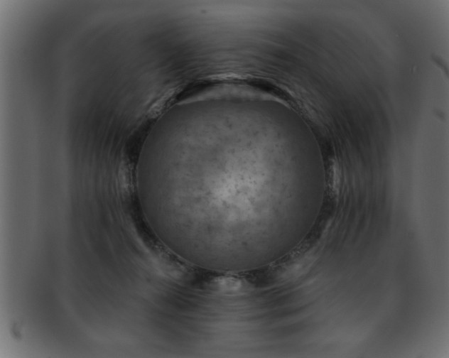X0000093170272200709261534