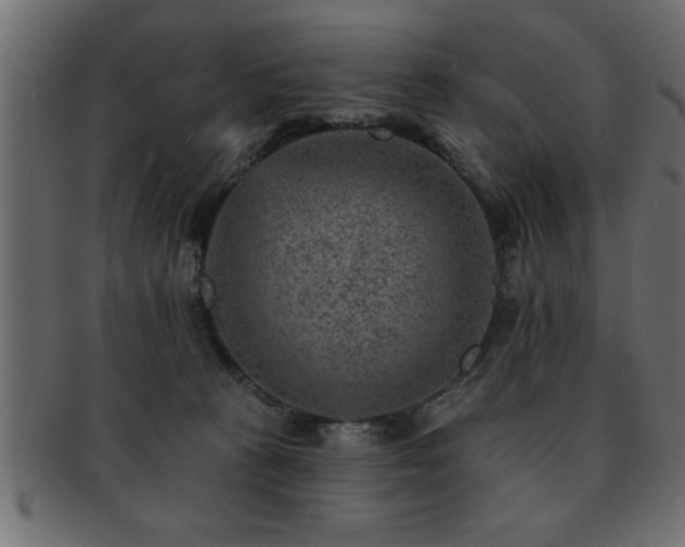 X0000093170273200709261534