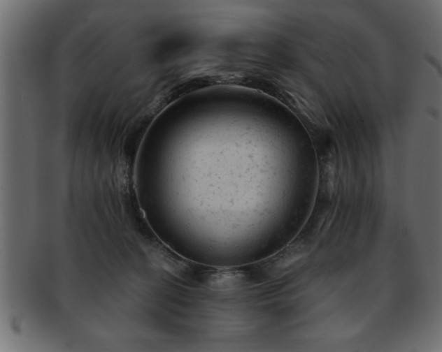 X0000093170274200709261534