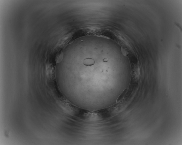 X0000093170276200709261534