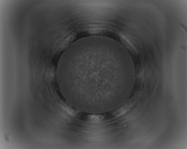 X0000093170277200709261534