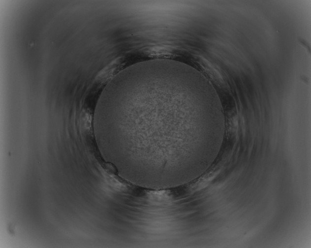 X0000093170281200709261534