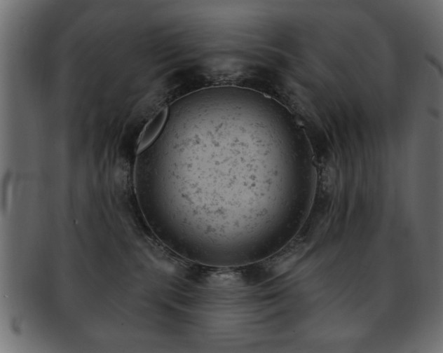 X0000093170283200709261534