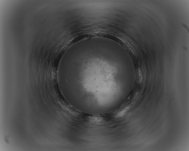X0000093170284200709261534