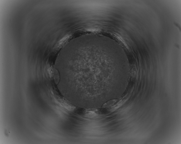 X0000093170285200709261534