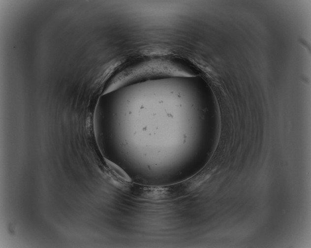 X0000093170288200709261534