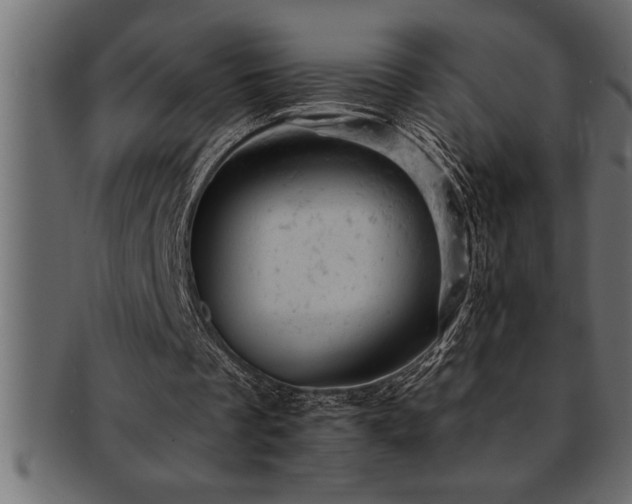 X0000093170289200709261534