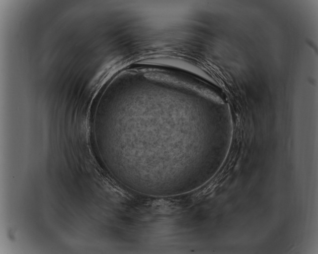 X0000093170290200709261534