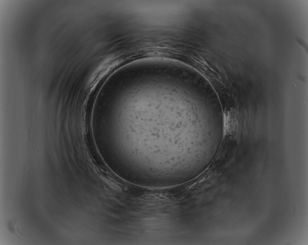 X0000093170291200709261534