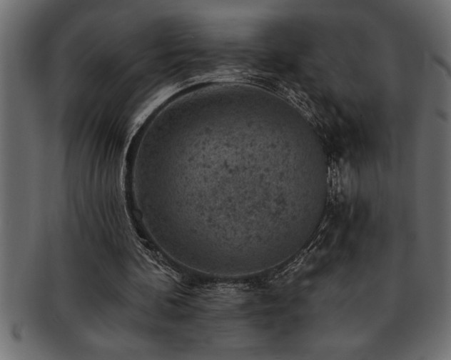 X0000093170292200709261534