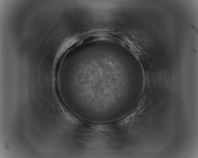 X0000093170293200709261534