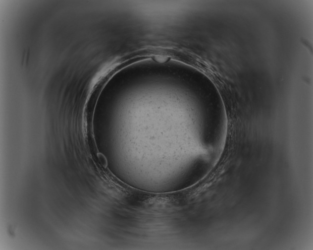 X0000093170294200709261534