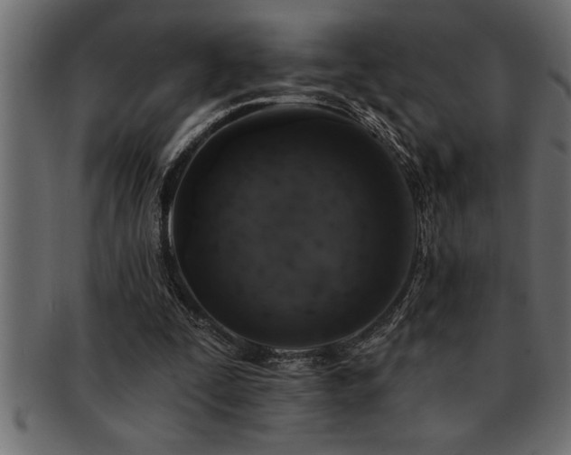 X0000093170295200709261534