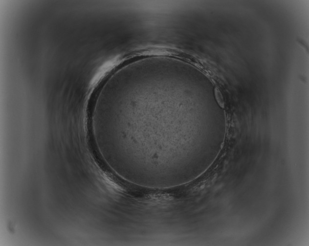 X0000093170296200709261534