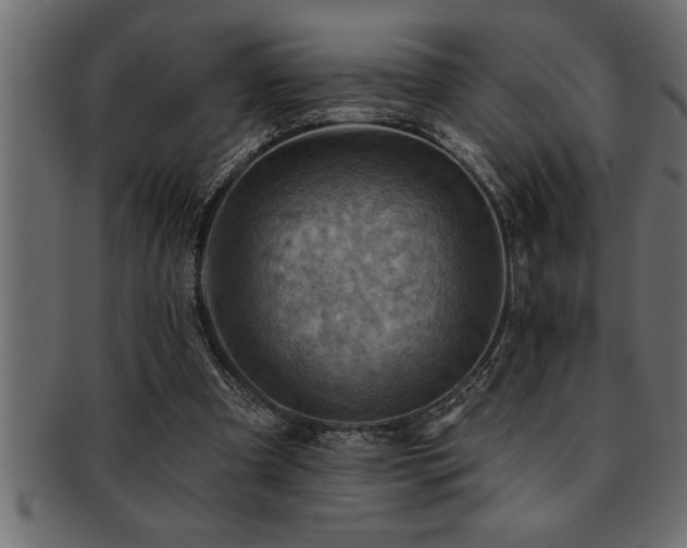 X0000093170297200709261534