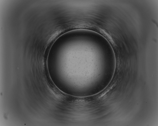 X0000093170298200709261534