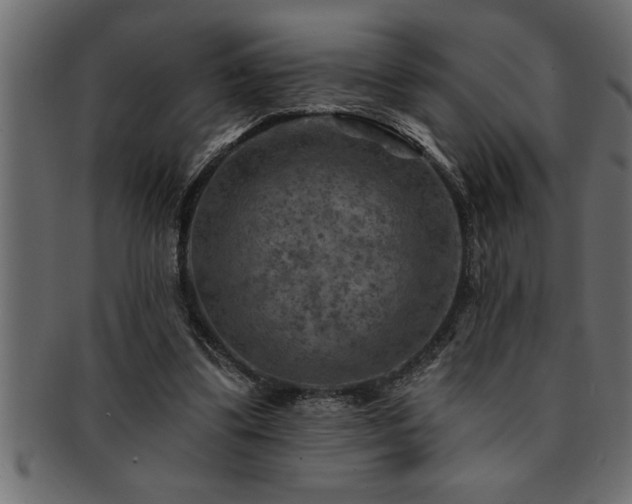X0000093170299200709261534