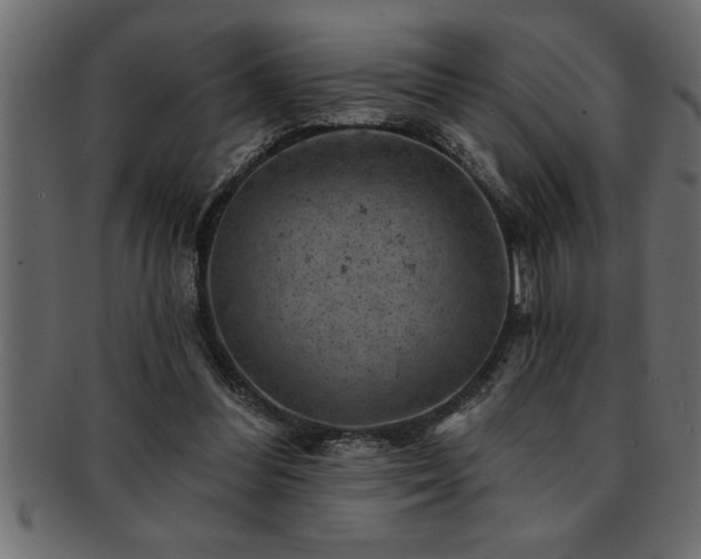X0000093170300200709261534