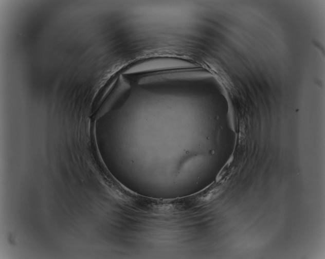 X0000093170301200709261534