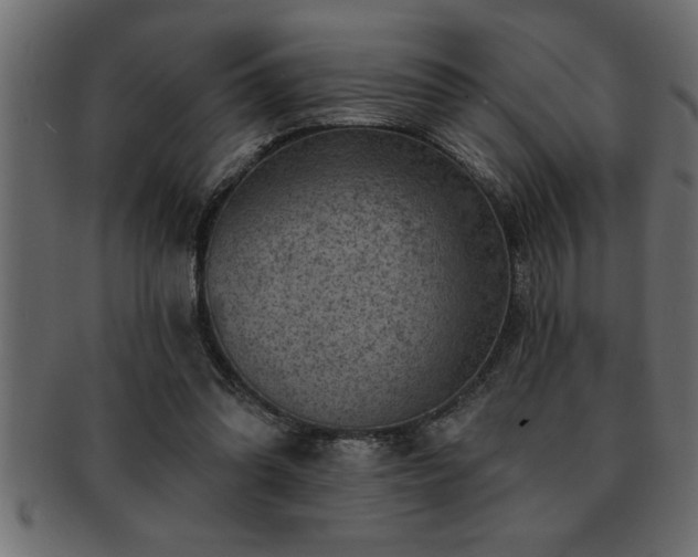 X0000093170302200709261534