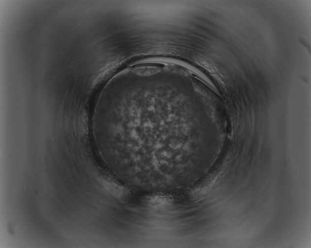 X0000093170303200709261534
