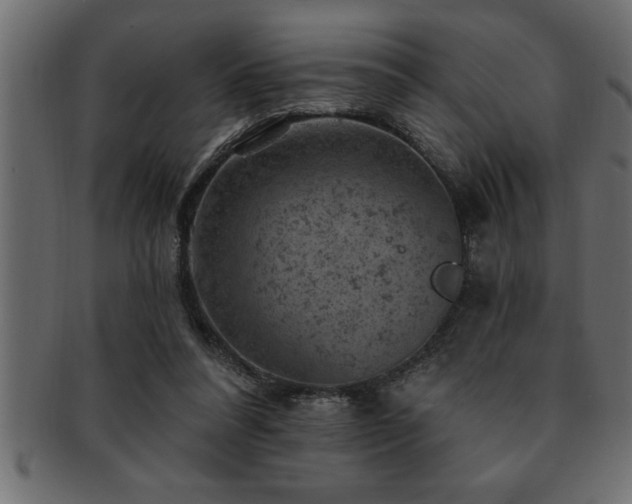 X0000093170304200709261534