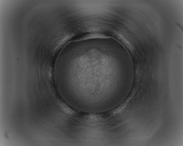 X0000093170305200709261534
