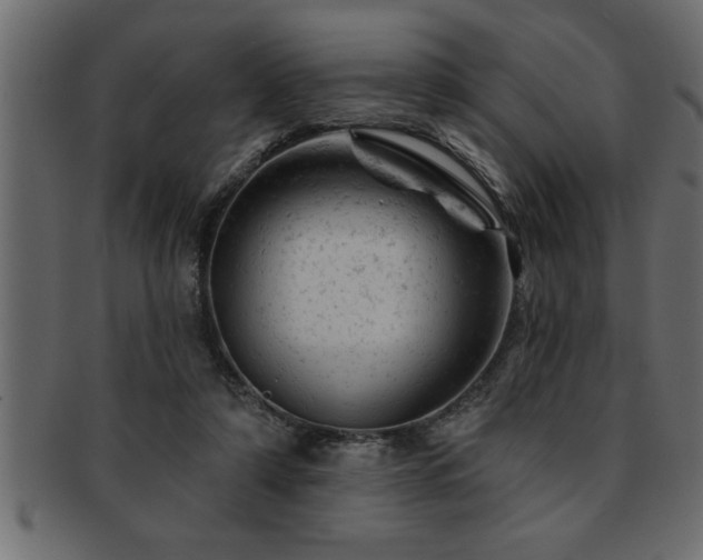 X0000093170306200709261534