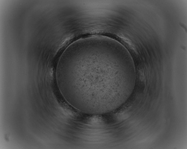 X0000093170308200709261534