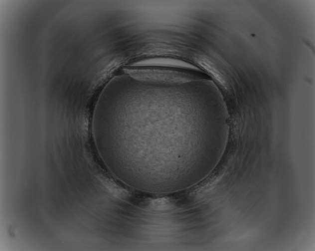 X0000093170309200709261534