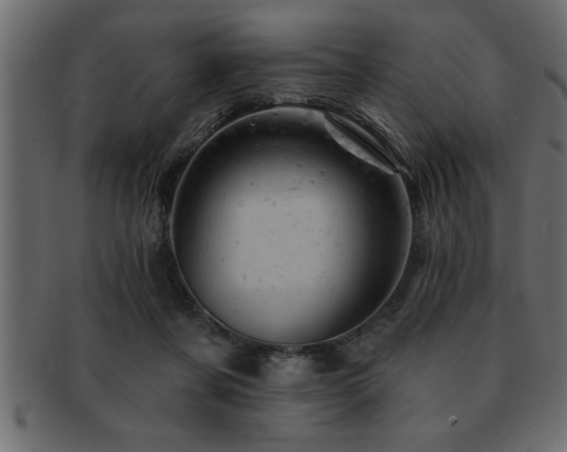 X0000093170311200709261533