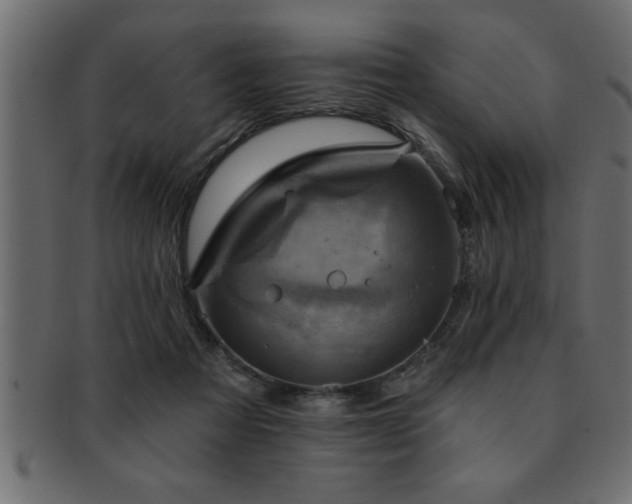 X0000093170313200709261533