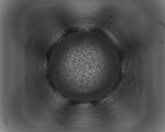 X0000093170314200709261533