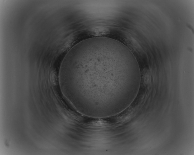 X0000093170316200709261533