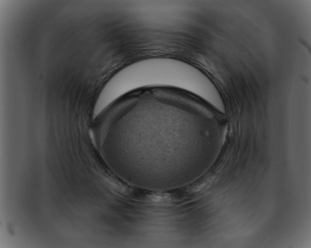 X0000093170317200709261533