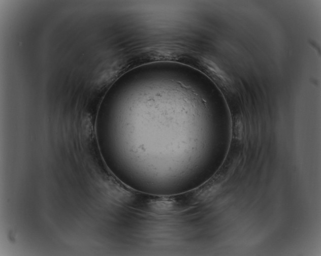 X0000093170318200709261533