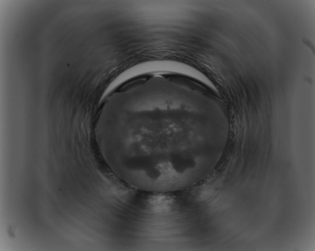 X0000093170319200709261533