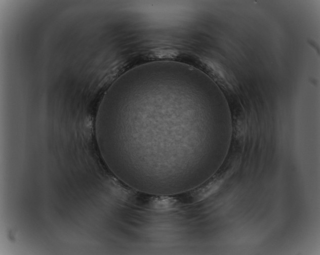 X0000093170321200709261533