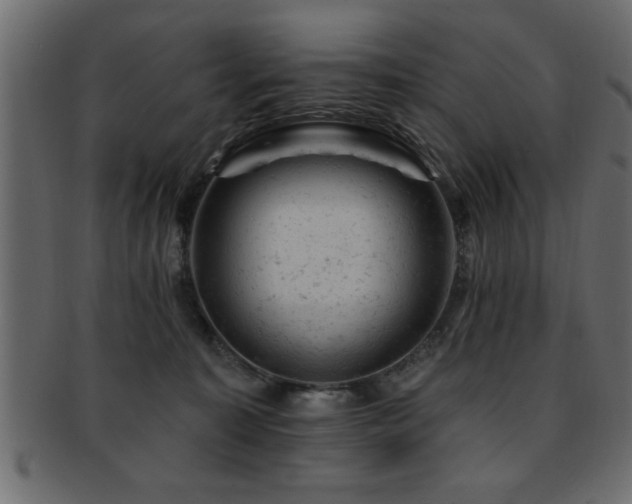 X0000093170323200709261533