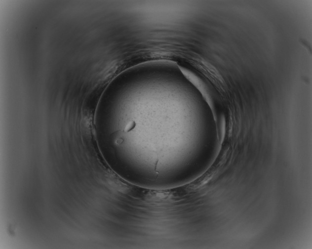 X0000093170329200709261533