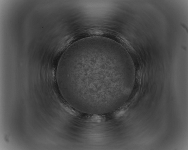 X0000093170330200709261533