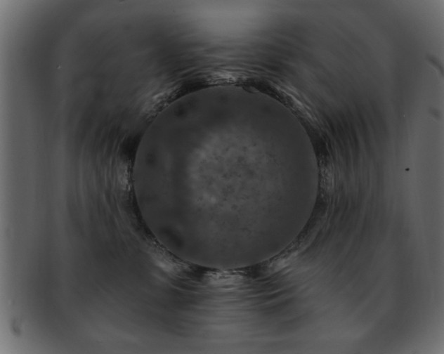 X0000093170331200709261533