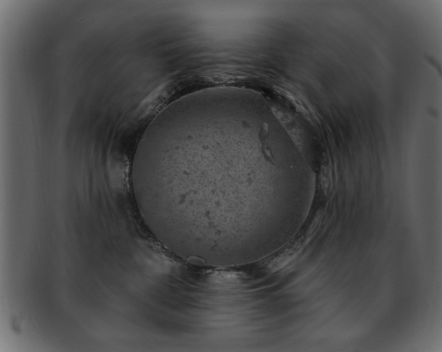 X0000093170332200709261533