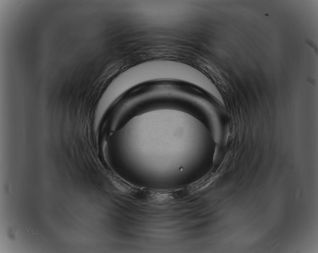 X0000093170333200709261533