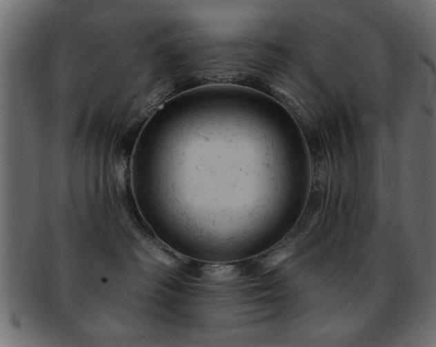 X0000093170334200709261533