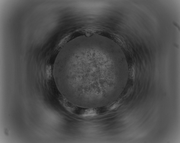 X0000093170335200709261533