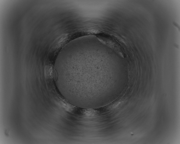 X0000093170336200709261533
