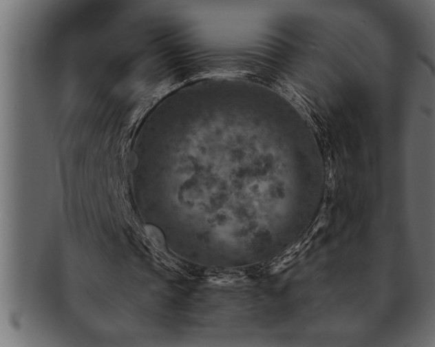 X0000093170337200709261532