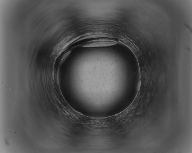 X0000093170338200709261533